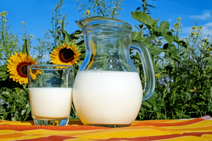 Milk is a staple of the Dukan diet. 